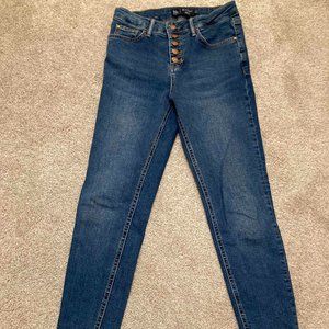 Boden Skinny Jeans